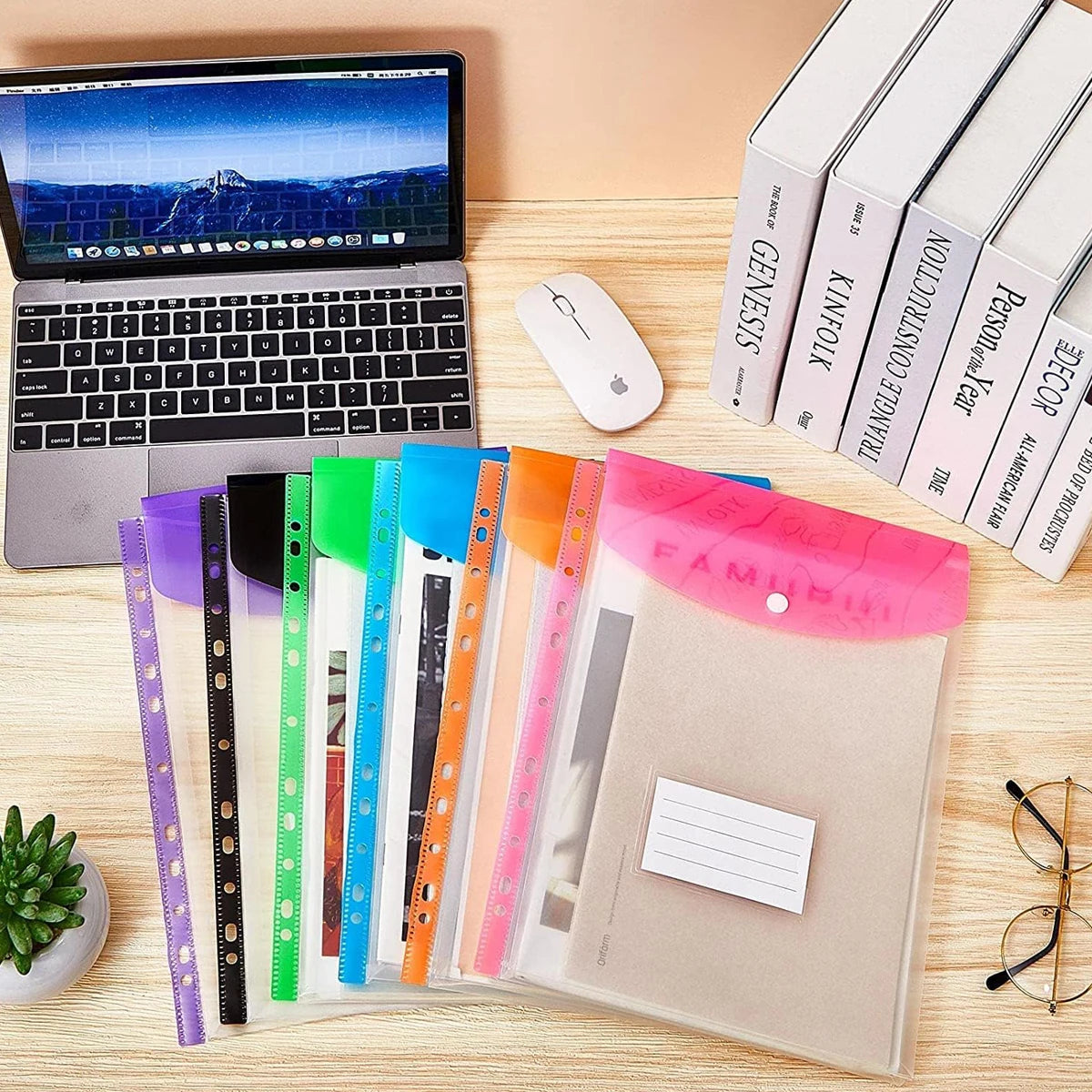 12-Piece File Holder, Binder Dividers with Snaps, Fits 2/3/4/11 Binders, 6 Colors